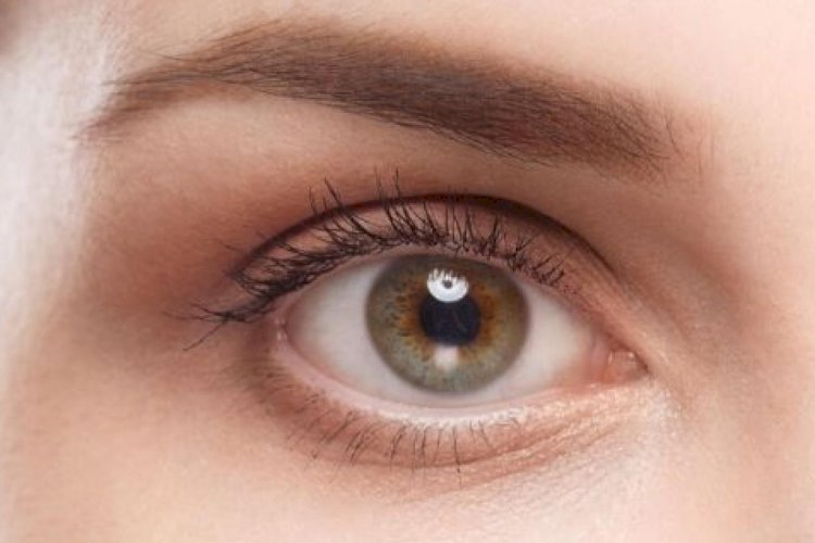 भाभा परमाणु अनुसंधान केंद्र ने खोजा आंख के ट्यूमर का स्वदेशी उपचार।