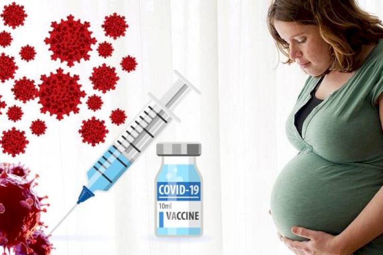 उच्च रक्तचाप व मोटापा से पीड़ित गर्भवती को कोविड संक्रमण का खतरा अधिक।