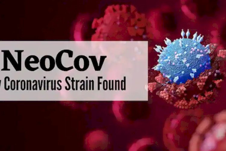 नियोकोव वायरस के खतरे को काफी बढ़ा-चढ़ाकर लोगों के सामने रखा जा रहा है: वैज्ञानिकों
