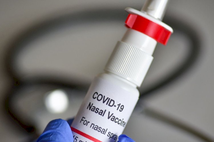 कनाडा ने विकसित किया नाक के जरिए लिए जाने वाला कोविडरोधी टीका, सभी वैरिएंटों के खिलाफ कारगर