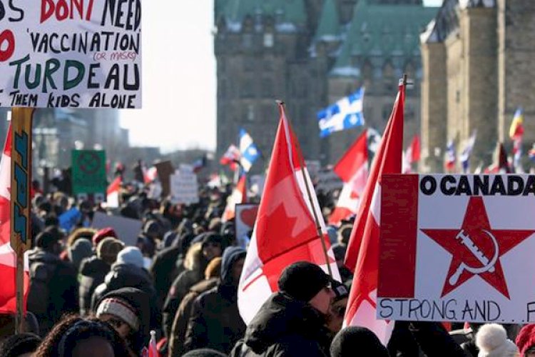 कनाडा में टीकाकरण से शुरू हुआ विरोध फ्रांस और न्यूजीलैंड पहुँचा