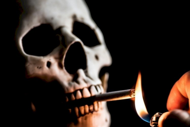 हर साल 80 लाख लोग तंबाकू के सेवन से मौत का शिकार हो जाते हैं: डब्ल्यूएचओ