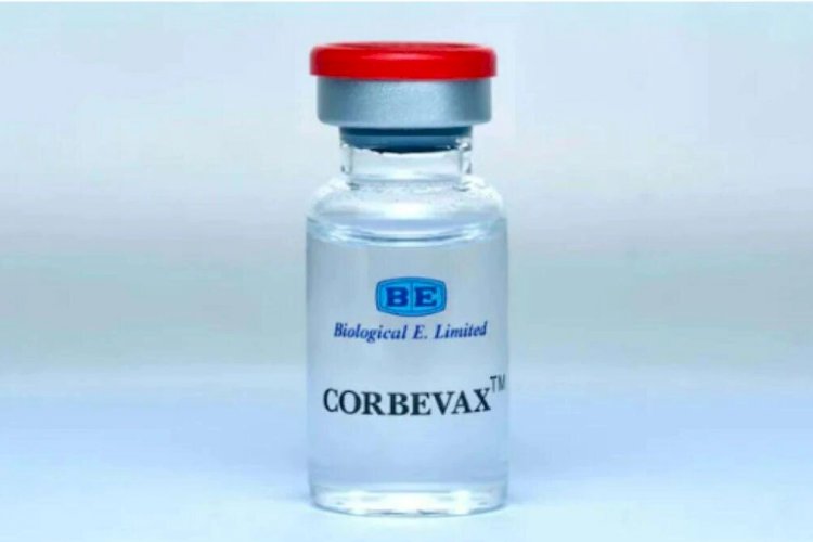 एंटी-कोविड वैक्सीन कोर्बेवैक्स को बूस्टर खुराक के रूप में मंजूरी मिली 