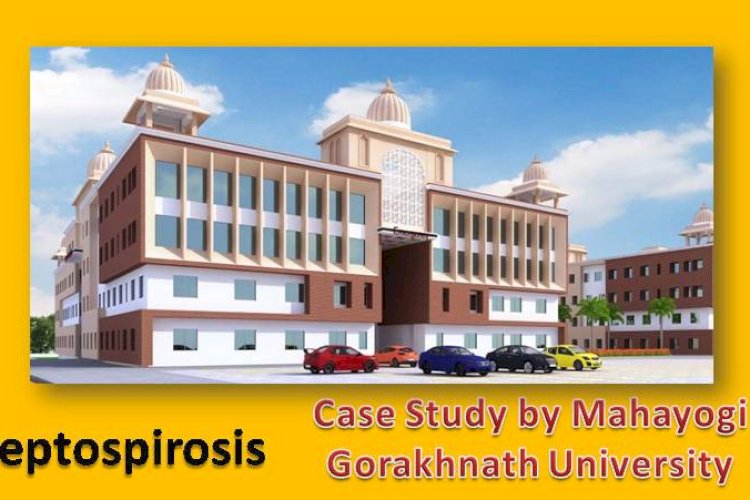 चूहे के पेशाब से फ़ैल रही लेप्टोस्पायरोसिस नामक बीमारी: महायोगी गोरखनाथ विश्वविद्यालय