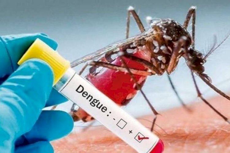 अब दोबारा जांच के लिए जिला अस्पताल या मेडिकल कॉलेज की लैब में देना होगा डेंगू, मलेरिया का सैम्पल