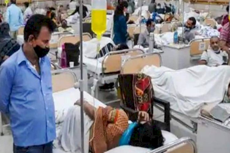 पटना में डेंगू के 24 घंटों में मिले 11 मामले