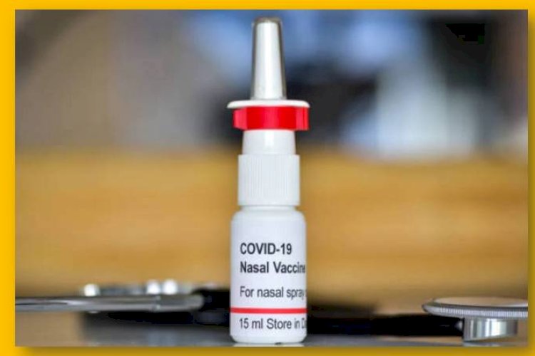 भारत बायोटेक द्वारा बनाई गई पहली नेजल कोरोना वैक्सीन को मिली मंजूरी