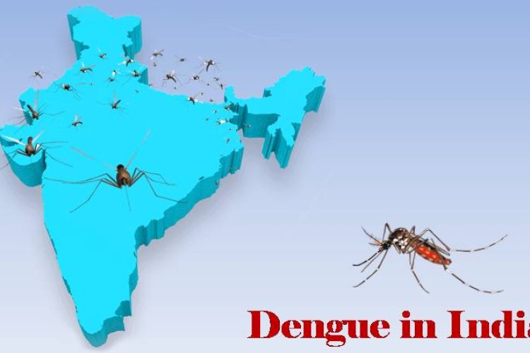 भारत के कई राज्यों में लगातार बढ़ रहे हैं डेंगू के मामले