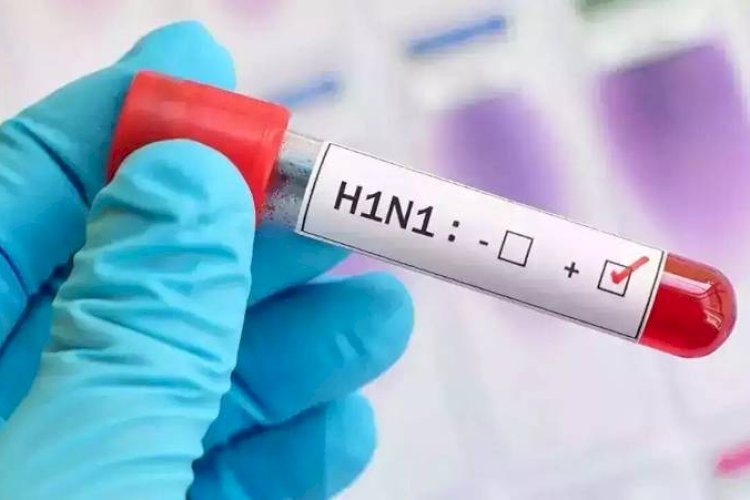 लुधियाना में स्वाइन फ्लू के अब तक 123 मरीजों की पुष्टि, अलर्ट पर प्रशासन