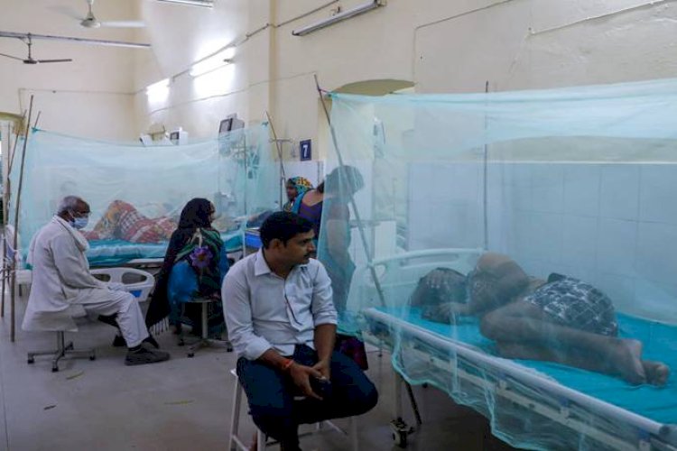 लखनऊ में लगातार बढ़ रहे डेंगू के केस, सबसे ज्यादा लोकबंधु अस्पताल में मरीज