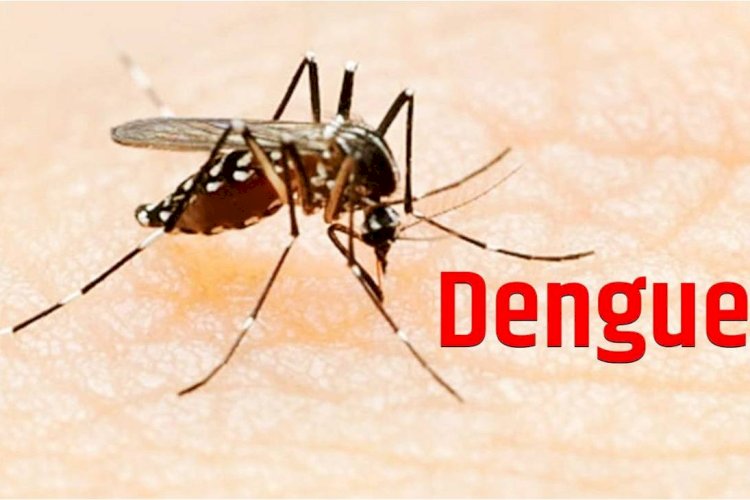 हरदोई में लगातार बढ़ रहे डेंगू के मरीज