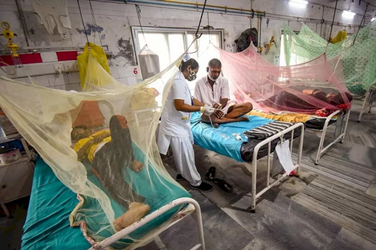 गोरखपुर में लगातार बढ़ रहे डेंगू के मरीज़