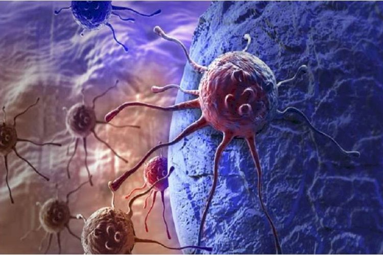 कैंसर की दवा को लेकर वैज्ञानिकों का दावा
