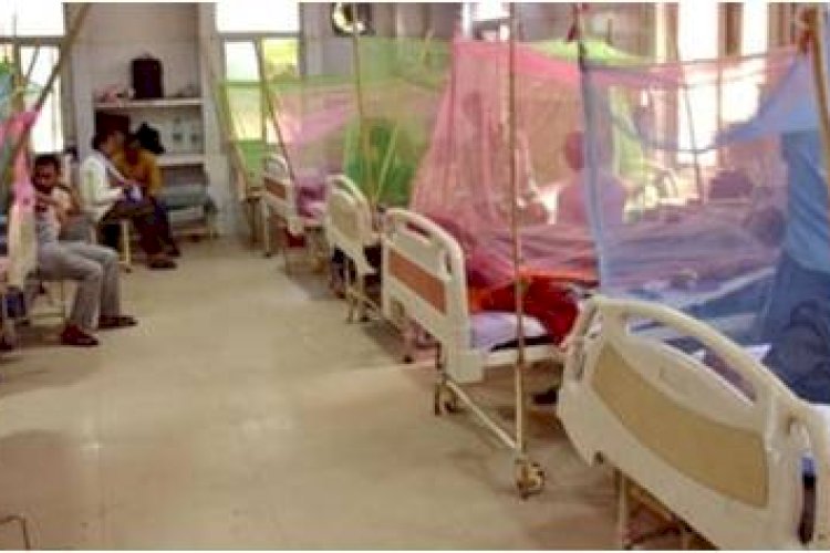 कानपुर में डेंगू के 58 नए मरीज आए सामने, पांच ब्लाकों में लगे कैंप