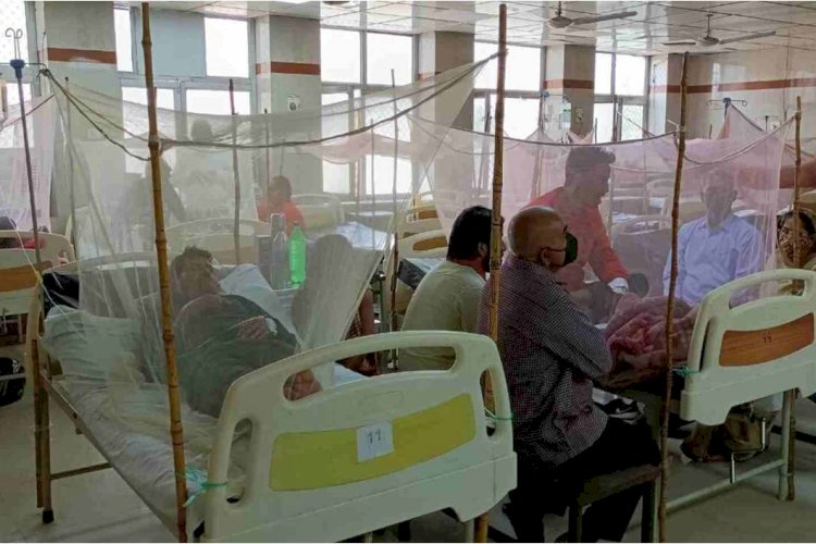 कानपुर में मिले डेंगू के 65 नए मरीज
