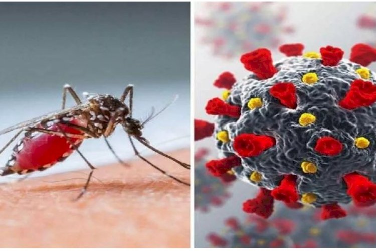 दून में बढ़ा कोरोना और डेंगू का खतरा