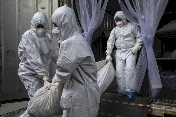 चीन में एक और वायरस का खौफ, H3N8 बर्ड फ्लू से हुई पहली मौत