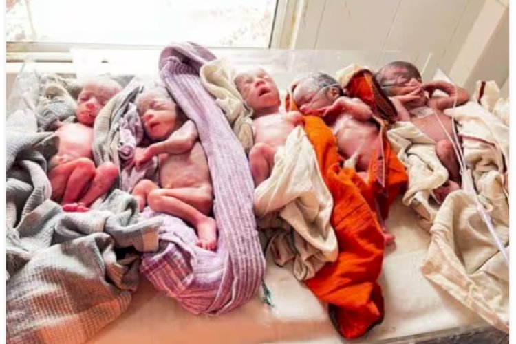 रांची के रिम्स में महिला ने एक साथ दिया 5 बच्चो को जन्म