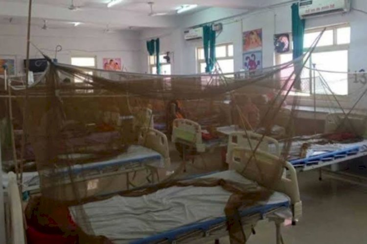 गोरखपुर में बढ़ रहे डेंगू के मरीज।