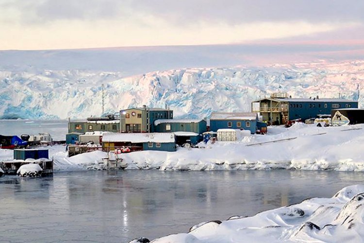 अंटार्कटिका पहुंचा कोरोना वायरस 45 वैज्ञानिक और 24 सैन्यकर्मी संक्रमित