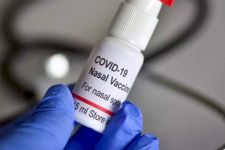भारत बायोटेक को इंट्रा नैजल वैक्सीन के बूस्टर खुराक के परीक्षण की मिली इजाजत