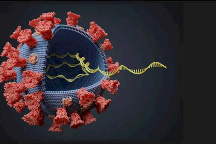 कोरोना वायरस के नए वेरिएंट से आगे बढ़ सकती है महामारी: डब्ल्यूएचओ