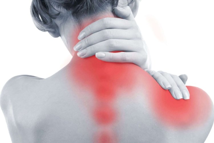पीठ और गर्दन का दर्द एक आम समस्या है, इसको गंभीरता से लेना चाहिए: डॉ अनुराग सक्सेना