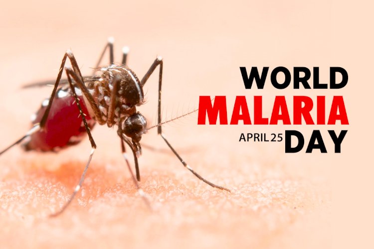 विश्व मलेरिया दिवस 2022: लखनऊ में इस साल नौ लोग मलेरिया की चपेट में आए