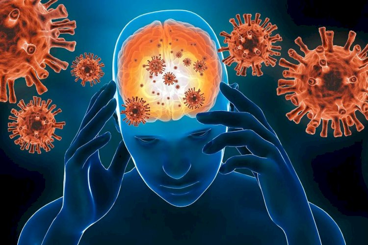 शोध: कोविड संक्रमण से मस्तिष्क को हो सकता है बड़ा नुकसान 