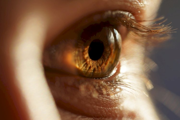 यूके के शोधकर्ताओं ने बनाया थ्रीडी फोटो के जरिये आंखों की बीमारी की पहचान करने वाला उपकरण 