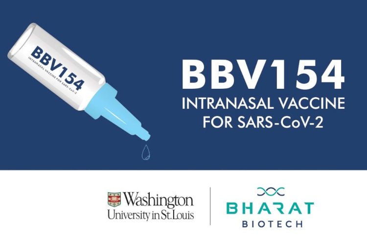 BBV-154 Nasal Vaccine: नाक से दी जाने वाली कोविड वैक्सीन का सफल परीक्षण हुआ