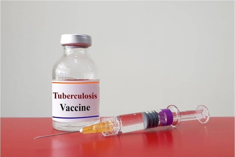 भारत में वयस्कों के लिए जल्द ही मिलने वाली है टीबी की वैक्सीन
