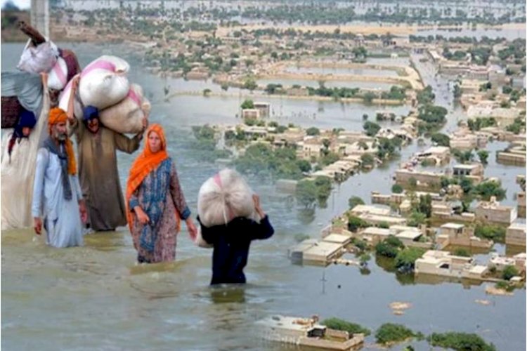 डब्ल्यूएचओ ने दी चेतावनी, बाढ़ के बाद बीमारी फैलने के जताई आशंका