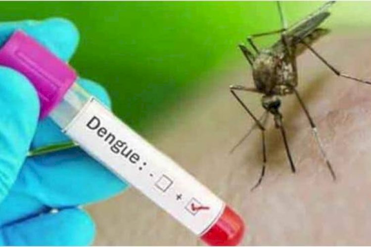 बिहार के दरभंगा में तेजी से फैल रहा डेंगू