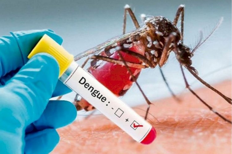 डेंगू को लेकर स्वास्थ्य विभाग से आई राहत भरी खबर
