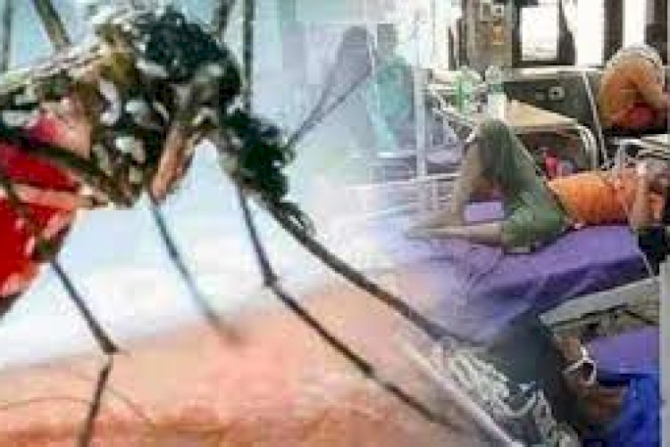 बिहार में लगातार बढ़ता जा रहा है डेंगू का कहर