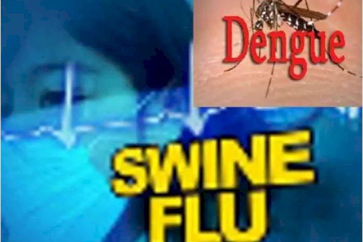 यूपी में डेंगू, चिकनगुनिया के साथ बेकाबू हुआ स्वाइन फ्लू