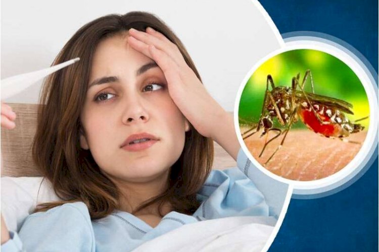 जानें, जानलेवा होते जा रहे डेंगू से बचाव के कुछ बेहद आसान से उपाय