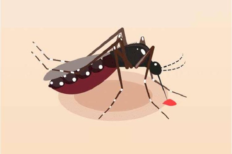जम्मू-कश्मीर: प्रदेश में डेंगू का आंकड़ा 8 हजार के पार