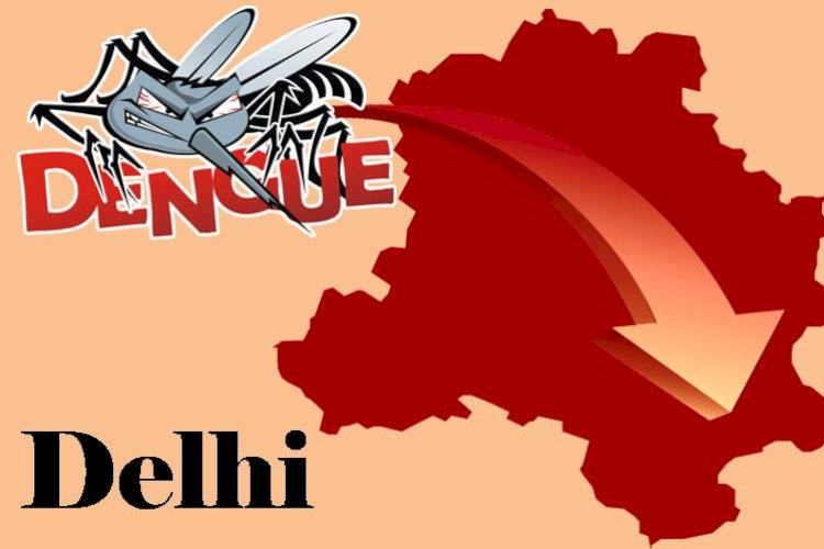 दिल्ली में डेंगू के मामलों में आई गिरावट