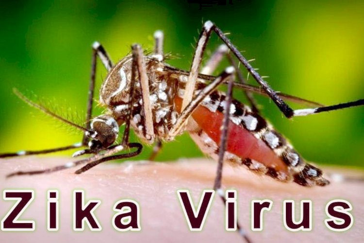 बेंगलुरु में जीका वायरस ने दी दस्तक