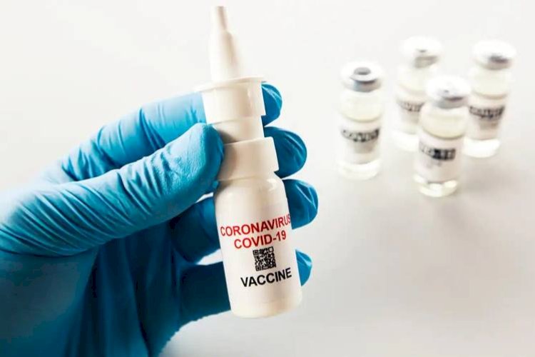 भारत में नेजल वैक्सीन की कीमत का हुआ खुलासा !