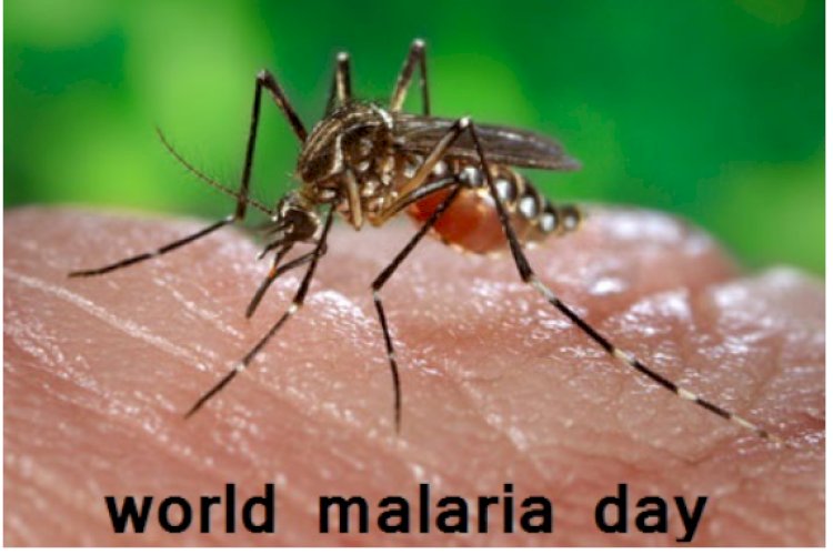 विश्व मलेरिया दिवस पर चलाया गया जन जागरूकता अभियान