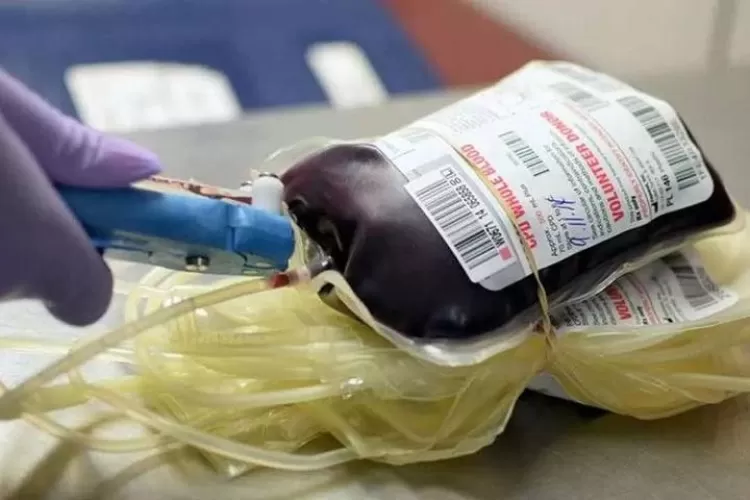 लापरवाही! झारखंड में थैलेसीमिया पीड़ित  बच्चे को चढ़ा दिया एचआईवी संक्रमित रक्त 