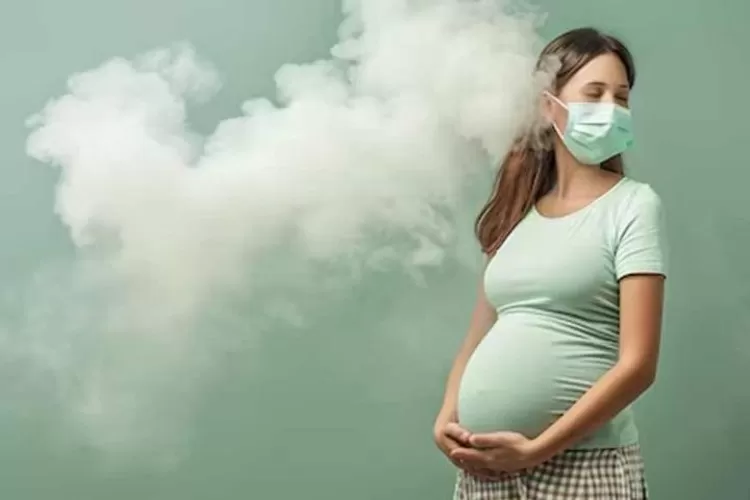 देश में हर साल लगभग तीन लाख से अधिक गर्भपात प्रदूषण के कारण हो रहे हैं: शोध 